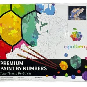 DIY PAINT BY NUMBER KITS ASST BEGINNER TO ADVANCED