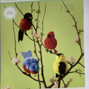 POM POM BIRD KIT