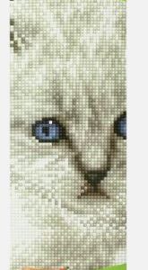 DIAMOND ART WHITE CAT