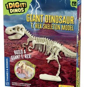 GAINT DINO:T.REX SKELETON MODEL